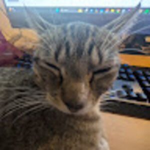 Meet your Posher, Rhiannon